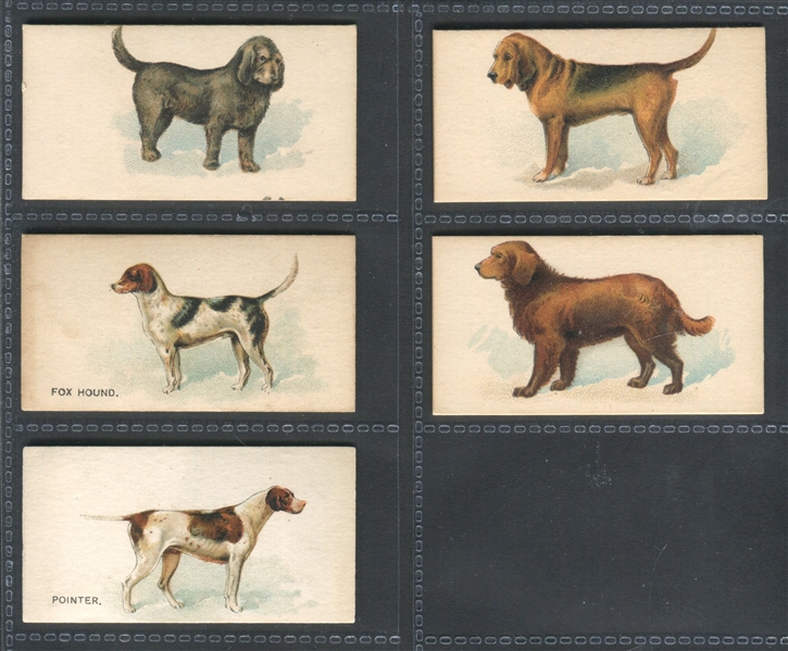 N163 Goodwin Dogs of the World Lot of (5) High-Grade Cards