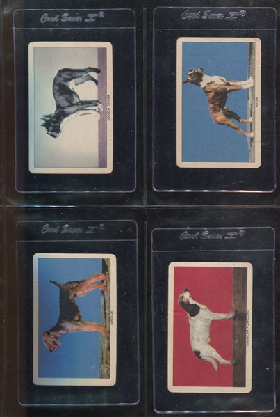 1950-1956 “Sergeant Preston” collection (107 cards) NM plus bonus items