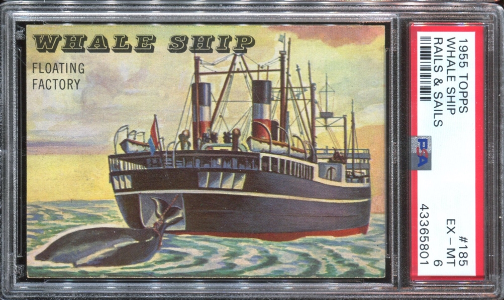 1955 Topps “Rails & Sails” #185 Whale Ship PSA EX-MT 6