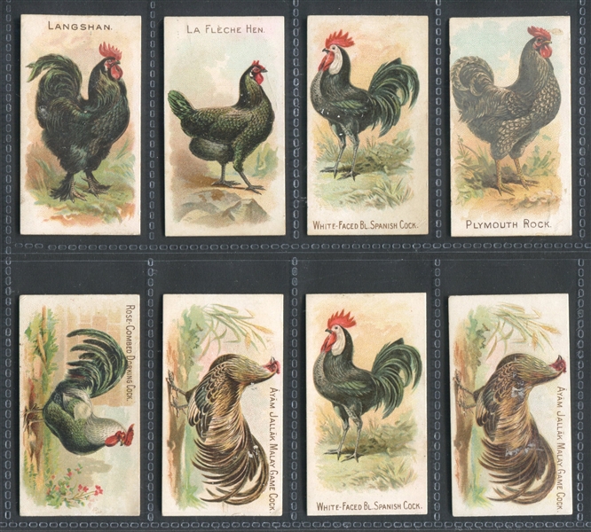 N20 Allen & Ginter Prize and Game Chickens Lot of (8) Cards