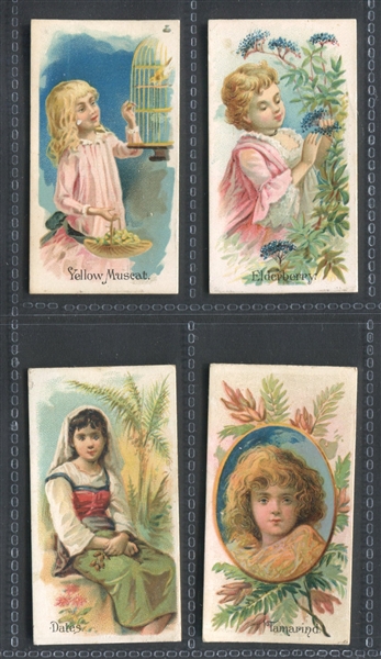 N12 Allen & Ginter Fruits Lot of (4) Cards