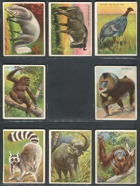T29 Hassan Cigarettes Animal Series Near Complete Set (79/80) Cards