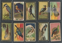 T42/T43 Bird Series Mixed Lot of (58) Cards
