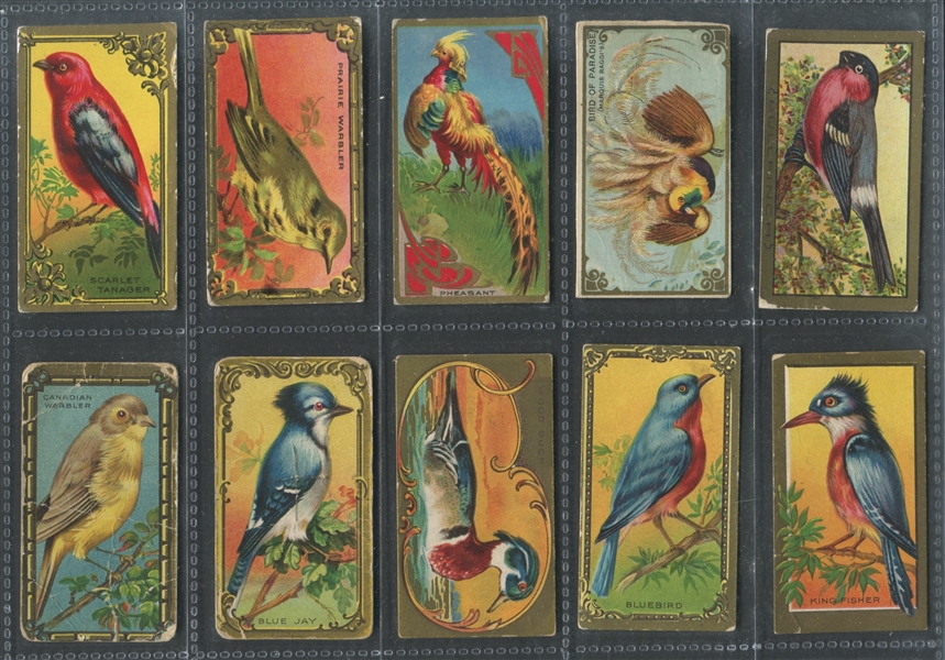 T42/T43 Bird Series Mixed Lot of (58) Cards