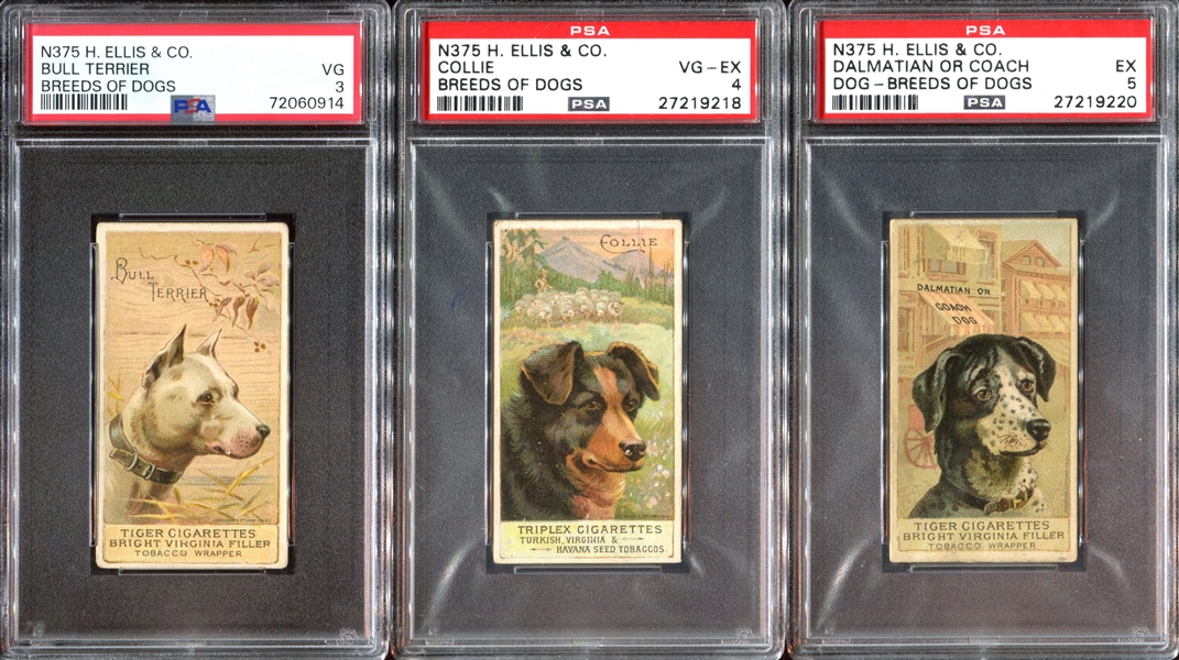 N375 Ellis Breeds of Dogs Complete PSA-Graded Set - #1 Current Finest on the PSA Registry