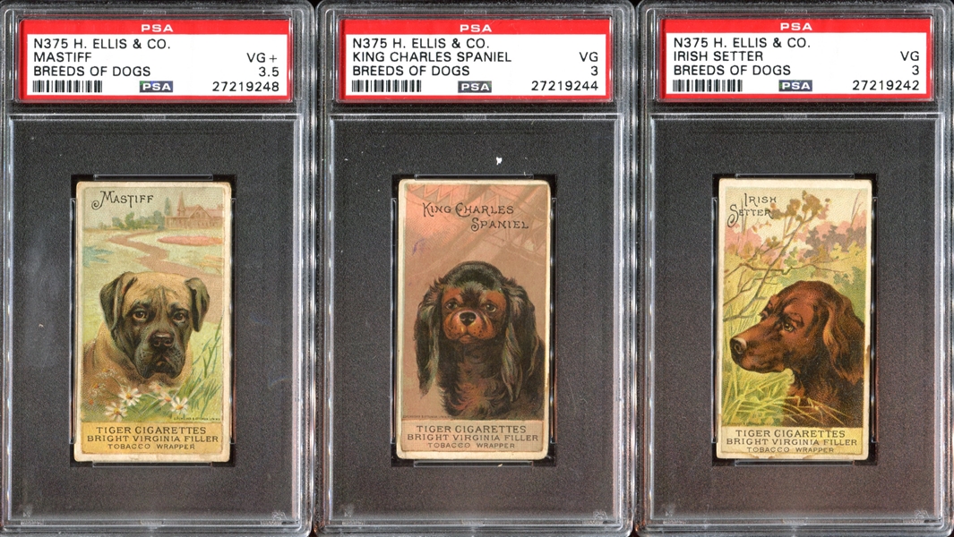 N375 Ellis Breeds of Dogs Complete PSA-Graded Set - #1 Current Finest on the PSA Registry