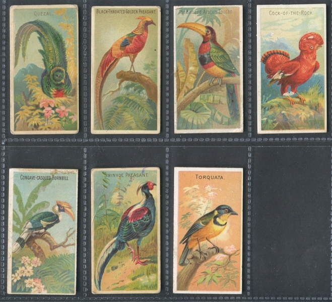N5 Allen & Ginter Birds of the Tropics Lot of (37) Cards