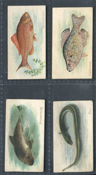 T58 Fish Series Lot of (4) Cards with Sovereigns