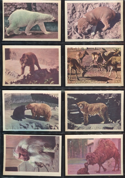 R724-6 Oak Premiere Animals Complete Set of (21) Cards