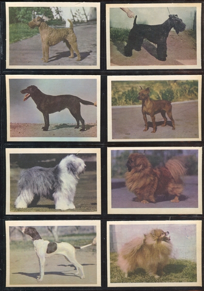 R724-4 Oak Premiere Dogs Complete Set of (42) Cards
