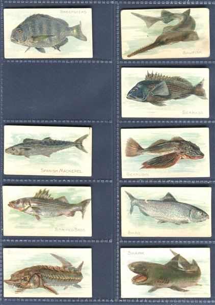 T58 Sovereign Cigarettes Fish Near Complete 1-50 Set of (42/50) Cards