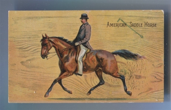K30 Lion Coffee card like N101 Duke Horse - American Saddle Horse