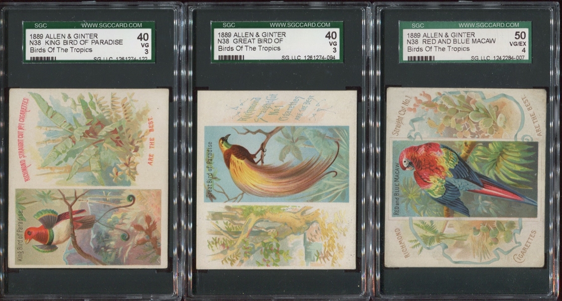 Lot of (6) N38 Allen & Ginter Birds of the Tropics Cards