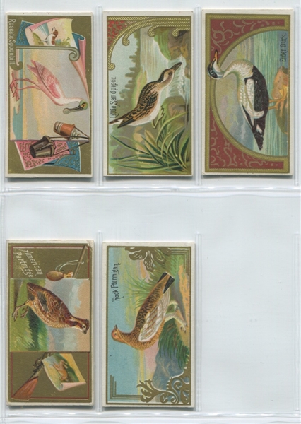 N13 Allen & Ginter Game Birds Lot of (20) Cards