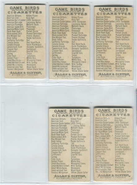 N13 Allen & Ginter Game Birds Lot of (20) Cards