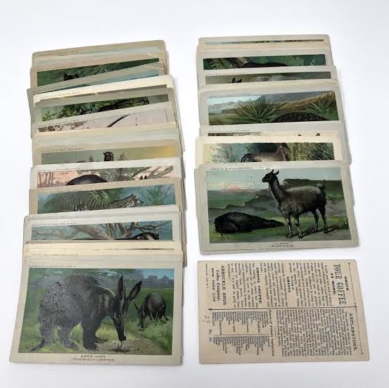 K1 Arbuckle Coffee Animals Complete set of (50) Cards