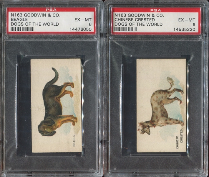 N163 Goodwin Old Judge Dogs of the World Lot of (2) PSA6-Graded Cards