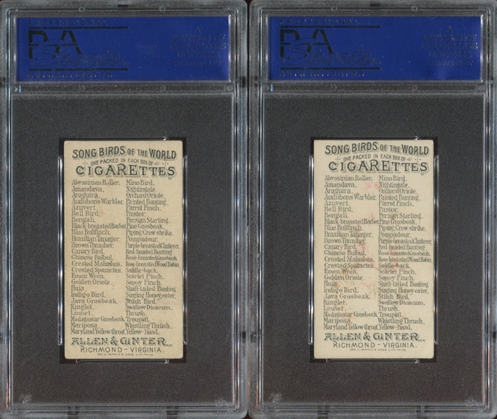N23 Allen & Ginter Song Birds of the World Lot of (2) PSA5-Graded Cards