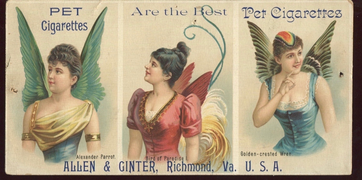 Allen & Ginter Trade Card - Similar to N312 Birds of Plumage