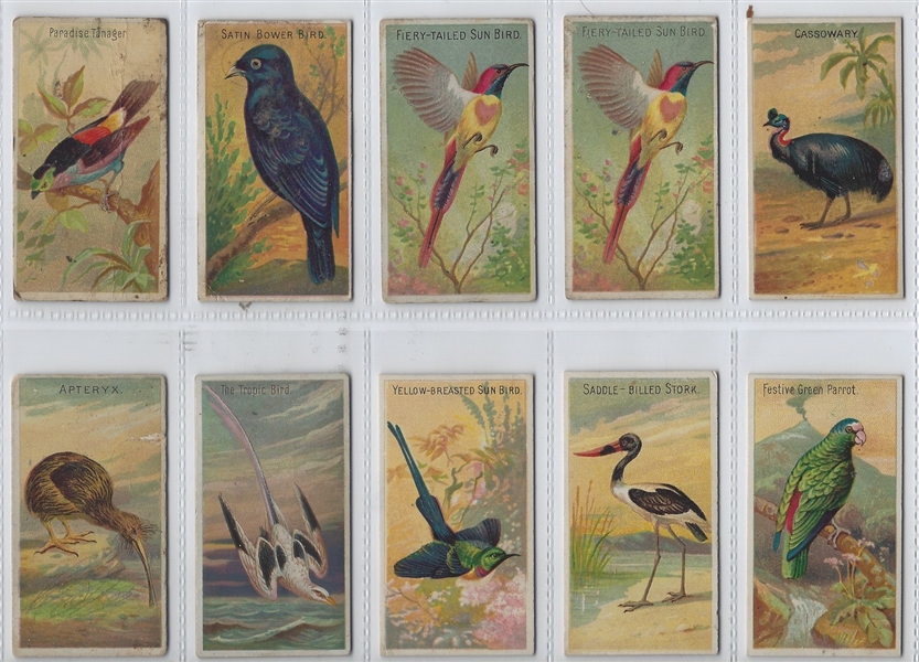 N5 Allen & Ginter Birds of the Tropics Lot of (21) Cards