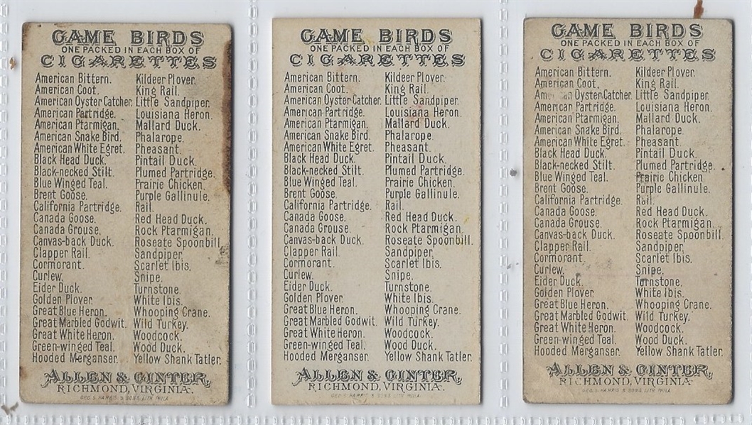 N13 Allen & Ginter Game Birds Lot of (13) Cards