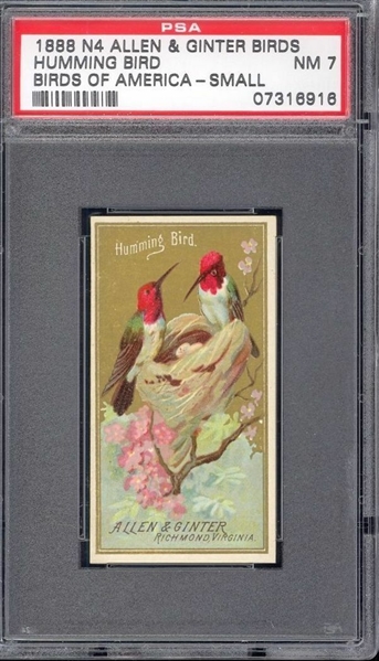 N4 Allen & Ginter Birds of America - Hummingbird PSA7 NM