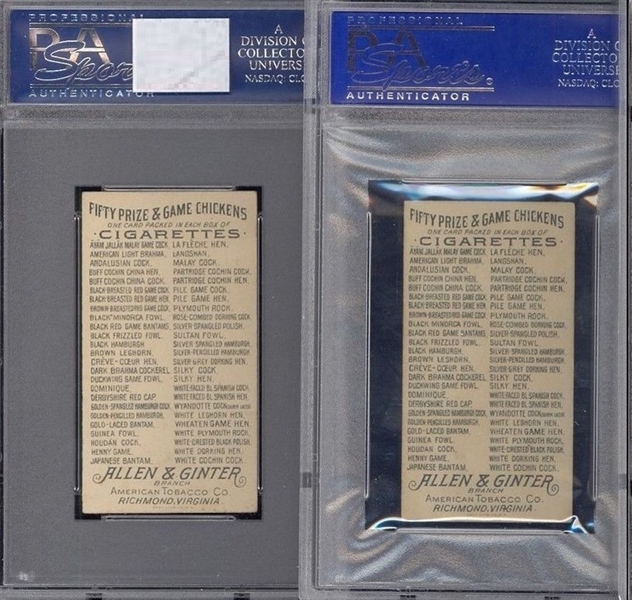 N20 Allen & Ginter Prize & Game Chickens Lot of (2) PSA6 EXMT Graded Cards