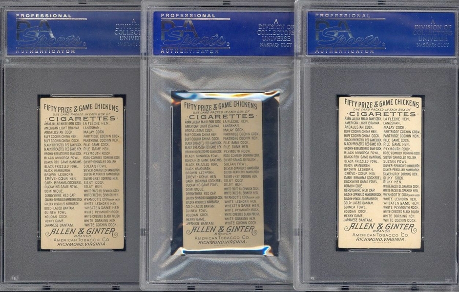 N20 Allen & Ginter Prize & Game Chickens Lot of (4) PSA5 EX Graded Cards
