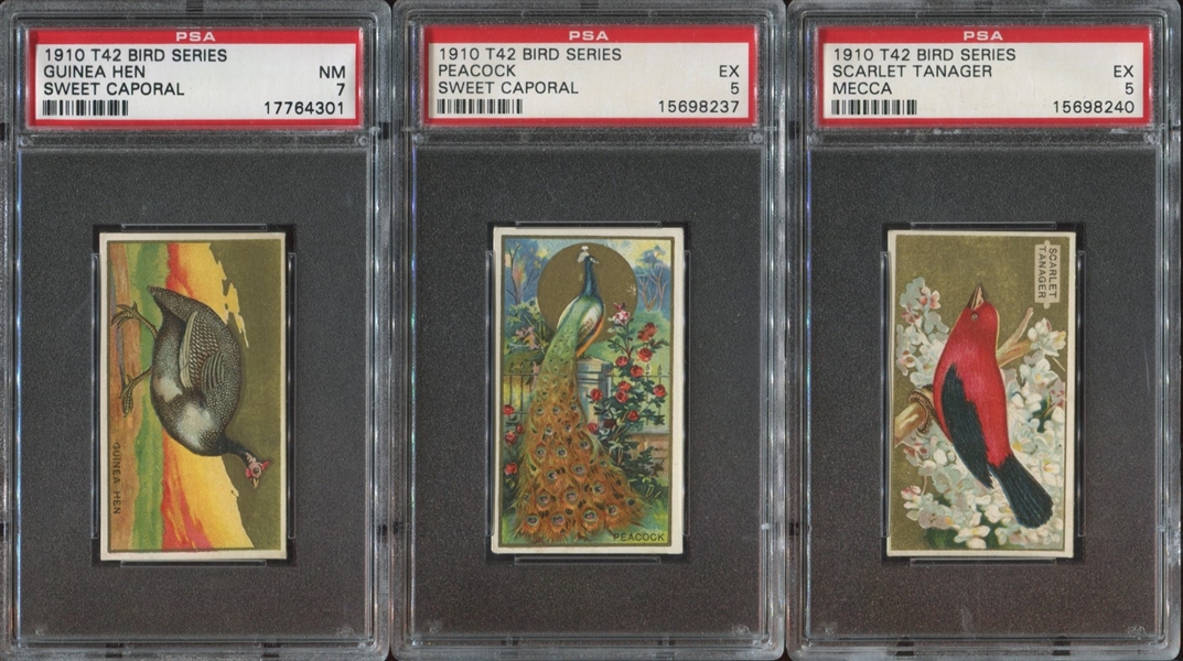 T42 Lot of (4) PSA-Graded With High-Grade PSA and SGC Examples