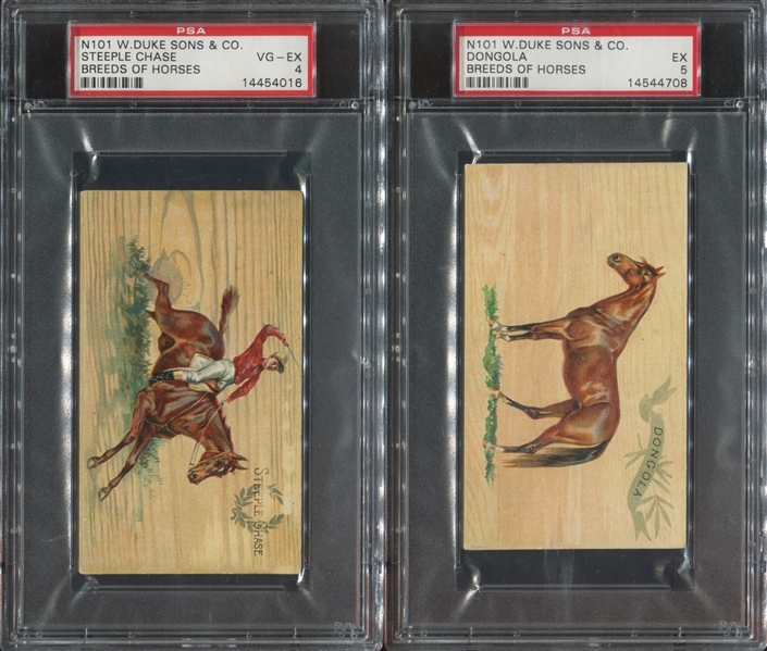 N101 Duke Tobacco Breeds of Horses Lot of (2) PSA-Graded Cards
