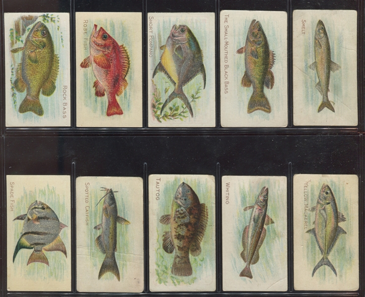 T58 Fish Series Complete Mixed-Back Set of (100) Cards