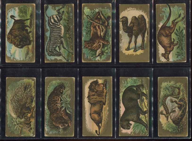 N216 Kinney Tobacco Animals Complete Set of (25) Cards