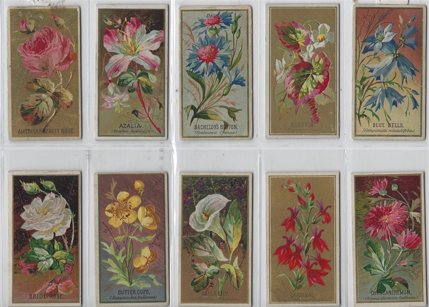 N164 Goodwin Tobacco Old Judge Cigarettes Flowers Complete Set of (50) Cards
