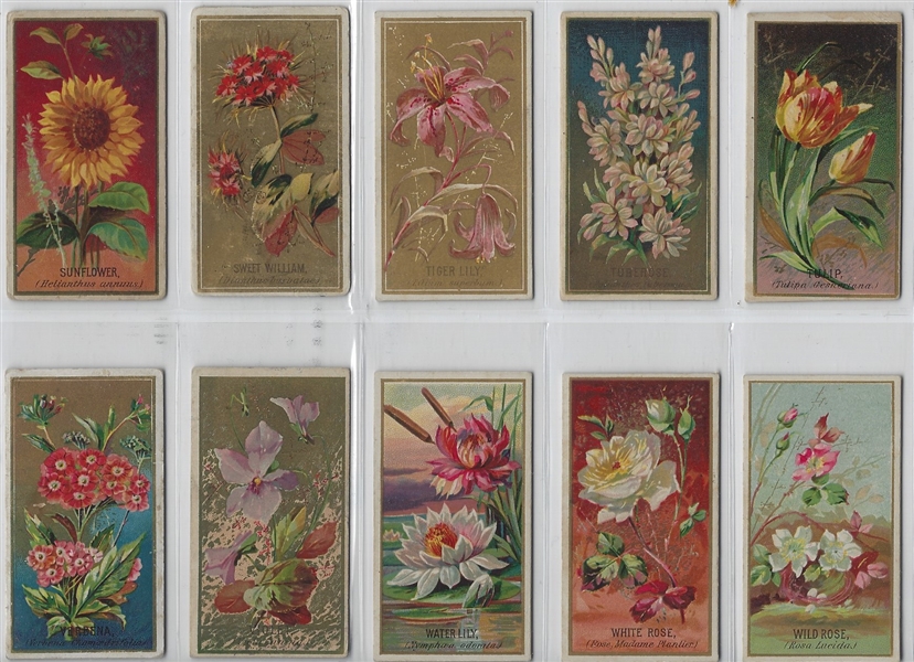 N164 Goodwin Tobacco Old Judge Cigarettes Flowers Complete Set of (50) Cards