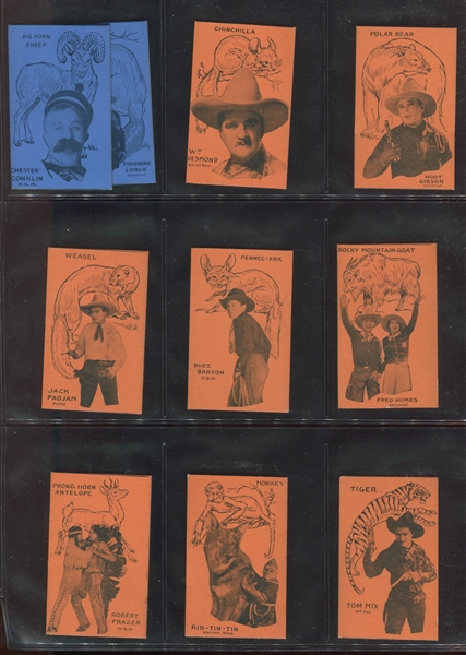 Interesting Movie Stars and Animals Complete High Grade Set of (64) Cards