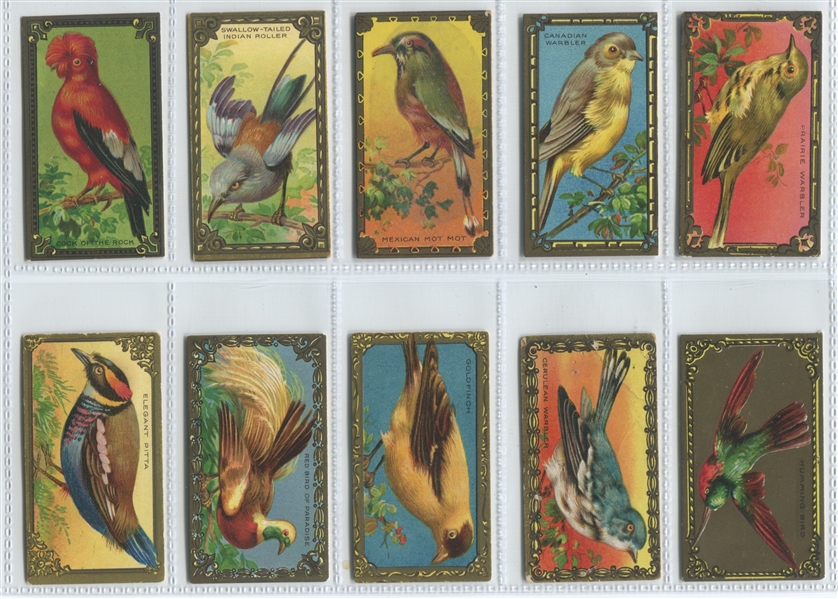 C45 Canadian Bird Set of (30) Cards