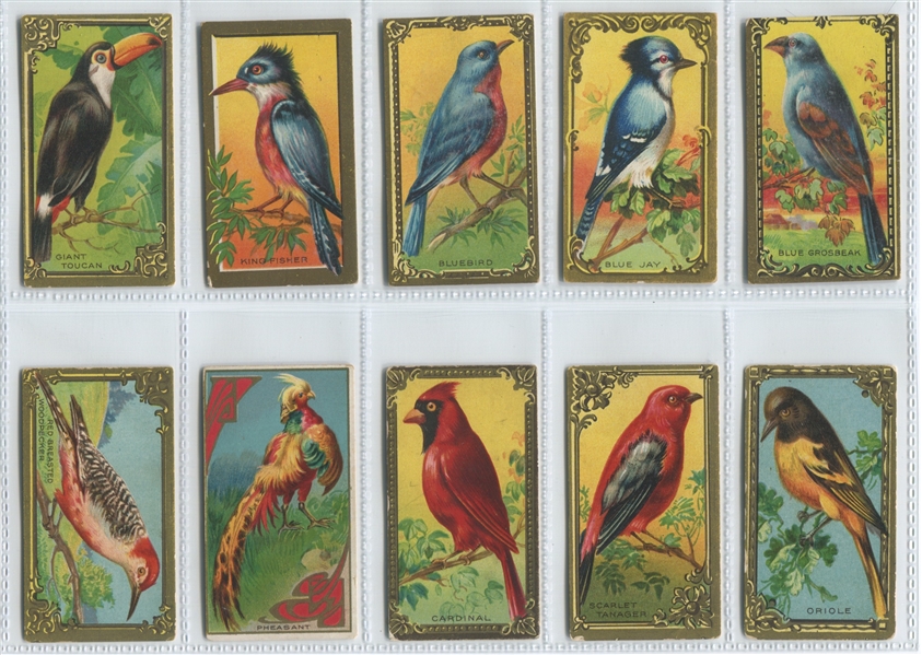 C45 Canadian Bird Set of (30) Cards