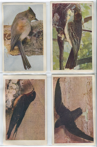 M4 Successful Farming Birds in Natural Colors Large Lot of (43) Plus Possible Original Mailer