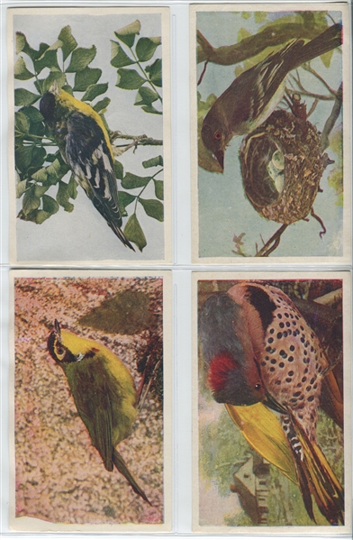 M4 Successful Farming Birds in Natural Colors Large Lot of (43) Plus Possible Original Mailer