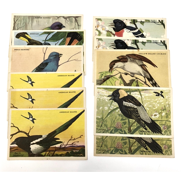 Kellogg's Cereal Bird Cards lot of (11) Cards