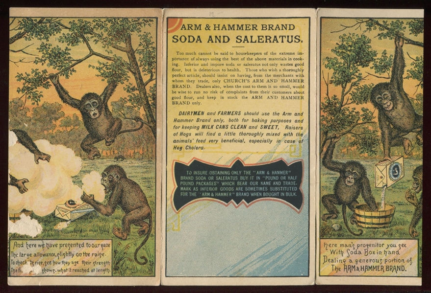 HM118 Arm & Hammer Metamorphic Monkey Brochure/Trade Card