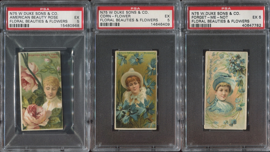 N75 Duke Tobacco Floral Beauties & Flowers Lot of (9) PSA5 EX Cards