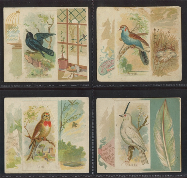 N42 Allen & Ginter Song Birds of the World Oversized Card Lot of (6) Cards