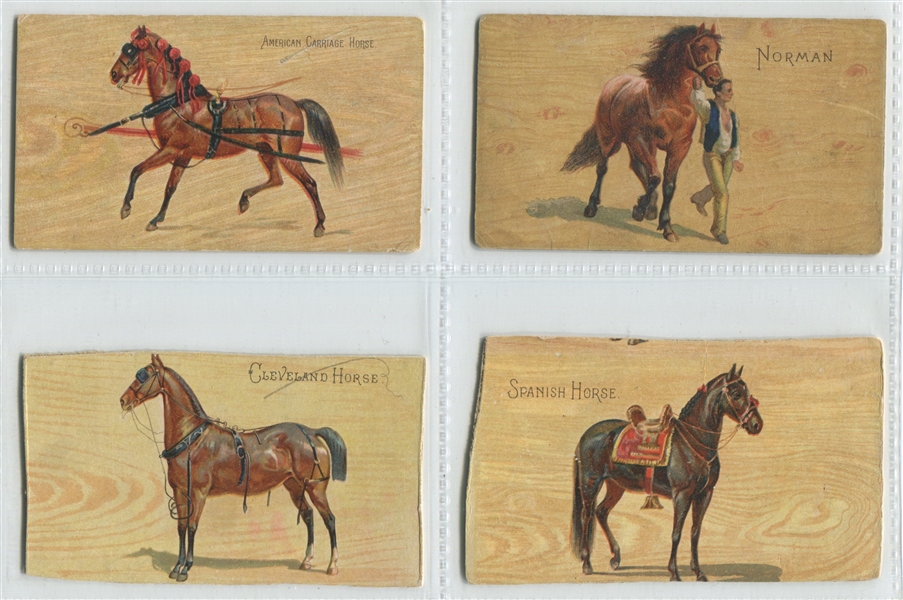 N101 Duke Tobacco Breeds of Horses Near Set (22/25)