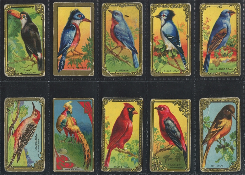 C45 Imperial Tobacco (Canada) Bird Series (as T43) Complete Set of (30) Cards