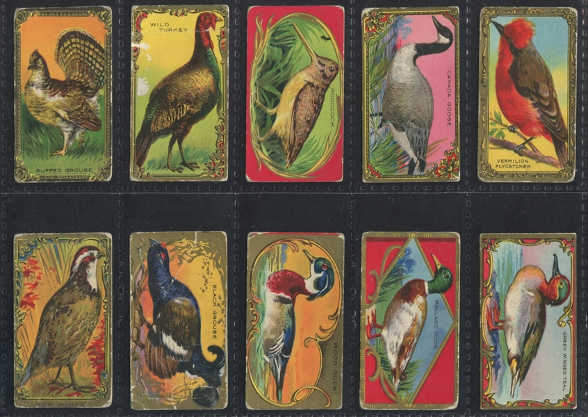 C45 Imperial Tobacco (Canada) Bird Series (as T43) Complete Set of (30) Cards