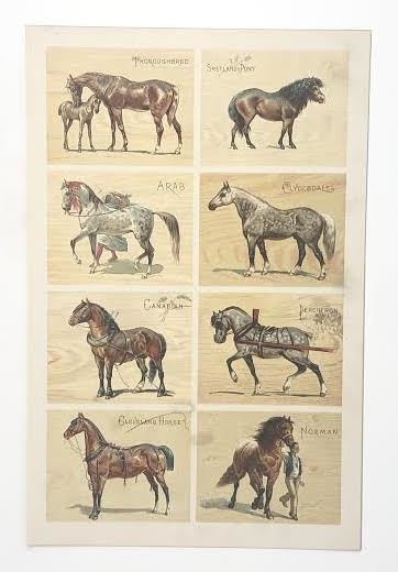 1890s Color Bookplates (2 Different) Featuring Sixteen N101 Duke Breeds of Horses Images