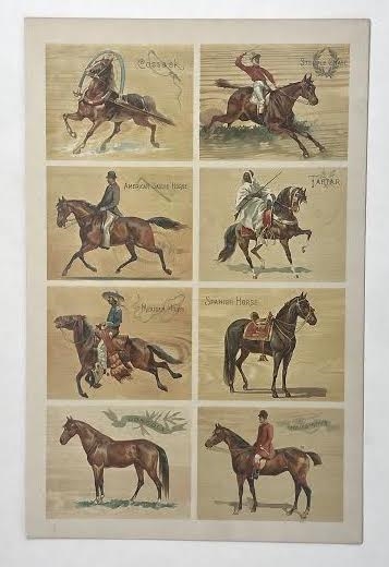 1890s Color Bookplates (2 Different) Featuring Sixteen N101 Duke Breeds of Horses Images