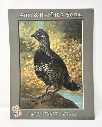 J4 Church & Dwight New Series of Birds Store Poster Black Canada Grouse