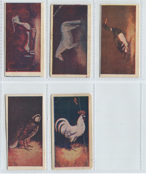 F335A & B Nine O'Clock Tea Animals Lot of (6) Cards with TOUGH F335B type